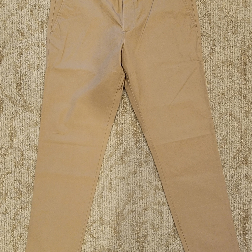 Gap Men's Skinny Fit Pants
